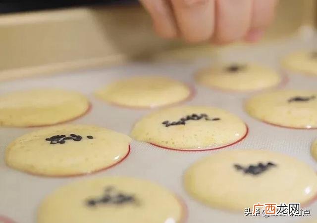 山药饼干批发市场 山药饼干厂家直销
