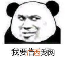 初学电脑编程入门教程,电脑初学者入门教程