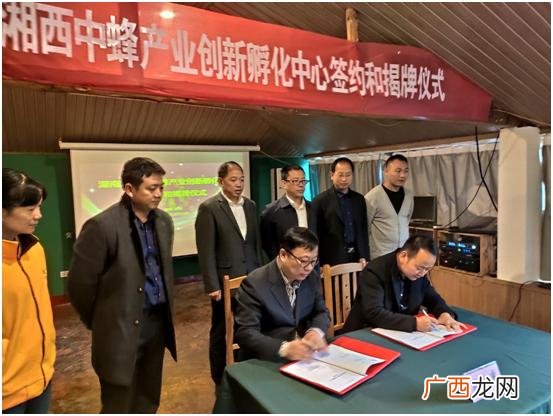 中国技术创业协会中小委 中国技术创业协会孵化联盟