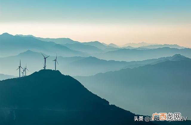 口味王怎样辨别槟榔真假,口味王槟榔客服热线