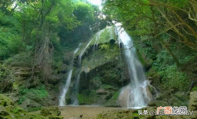口味王怎样辨别槟榔真假,口味王槟榔客服热线