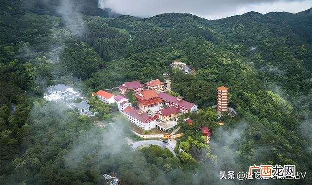 口味王怎样辨别槟榔真假,口味王槟榔客服热线