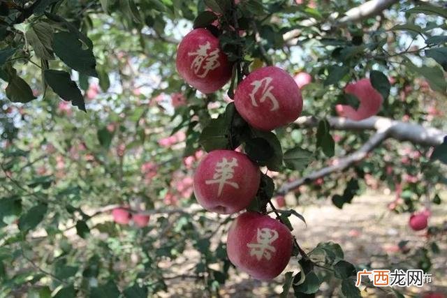 创业史主要内容 创业史好句好段