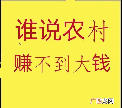 一个人怎么创业挣钱,农村人怎么创业