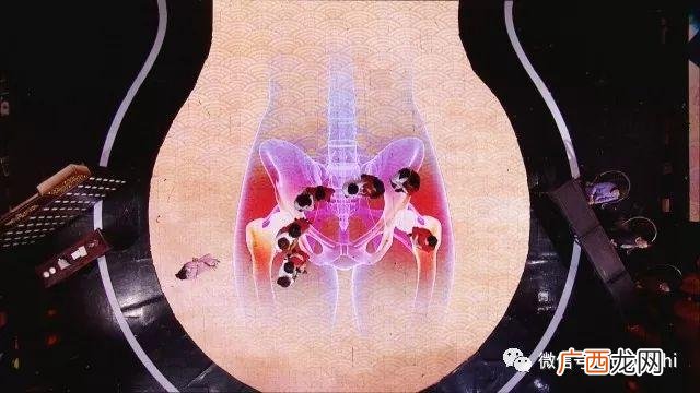 北京卫视养生堂节目回看 养生堂节目专家名单