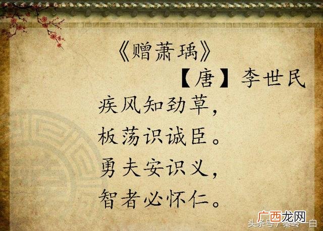 励志拼搏的诗句,形容励志奋斗的诗句