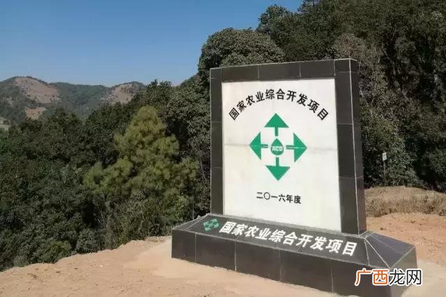 中药种植创业计划怎么写 草药种植创业计划书