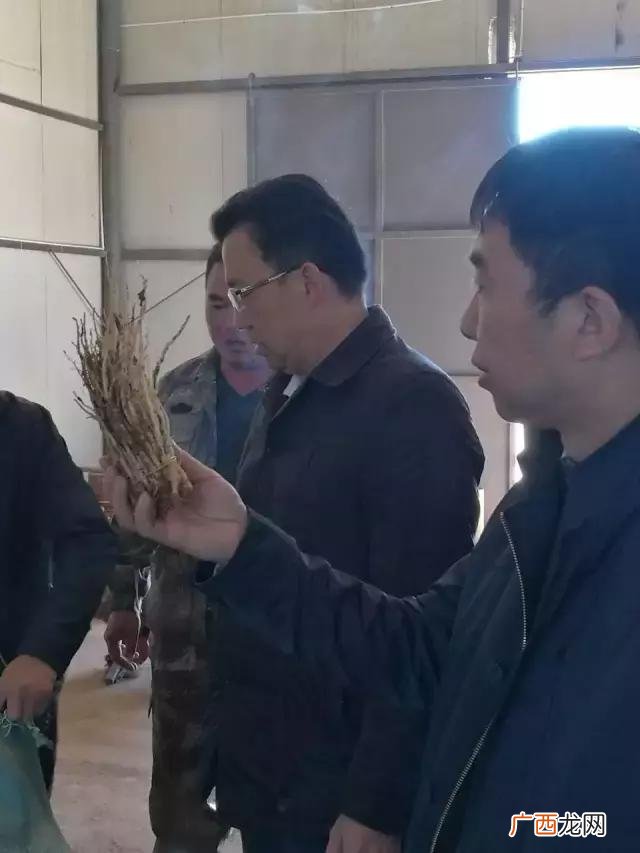 中药种植创业计划怎么写 草药种植创业计划书