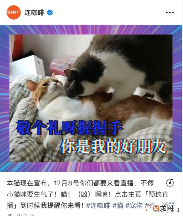 古茗奶茶店加盟总部在哪里,古茗奶茶店加盟大概需要多少钱