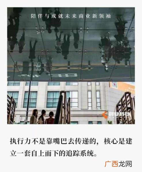 创业酵母张丽俊身家 创业酵母管理咨询