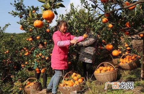 吴妈妈的励志故事,86岁创业吴妈妈