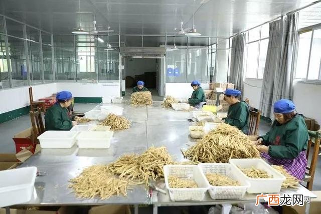 上门大量收购野生药材 四川药材种植加盟收购