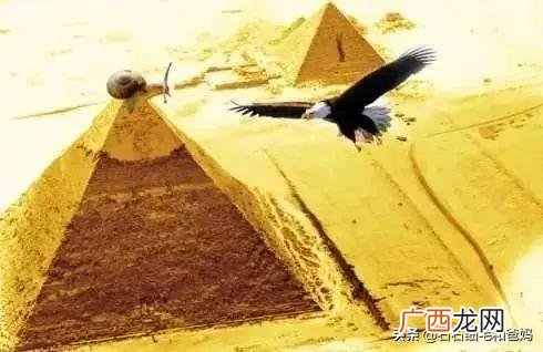公共项目管理案例分析 软件开发wbs案例