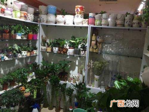 创业投资小有什么项目 深圳市华鑫创业投资管理有限公司