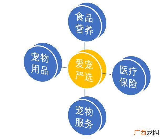 喜欢的小动物,喜欢小动物怎么创业