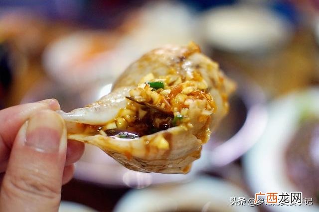 广州最好吃的羊肉煲 张记大学生创业