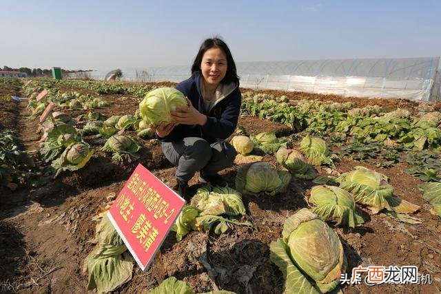 2021创业好项目投资小利润大,2021线上创业项目