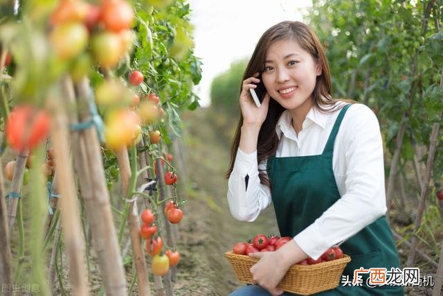 10万以内投资的店,2017十万元创业好项目