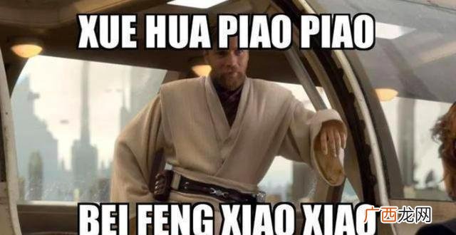 一剪梅 陈彼得,互联网创业陈彼得