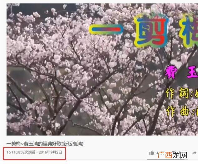 一剪梅 陈彼得,互联网创业陈彼得