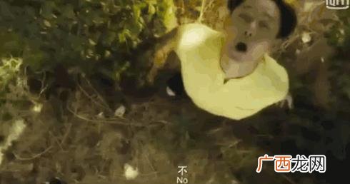 一剪梅 陈彼得,互联网创业陈彼得