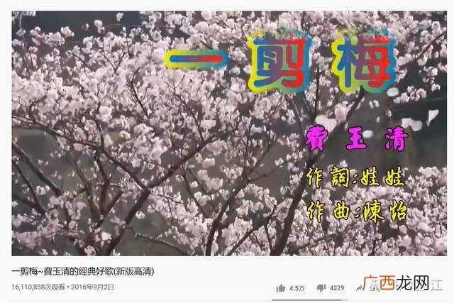 一剪梅 陈彼得,互联网创业陈彼得