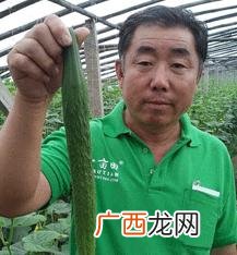 农村好项目加盟代理 加盟好项目