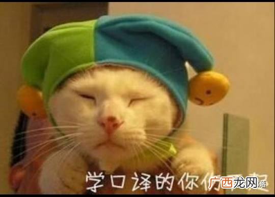 中级口译考试时间2020下半年,高级口译考试时间2020下半年