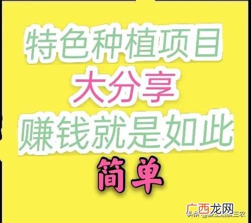 50个适合县城做的生意 农村种植养殖创业项目大全