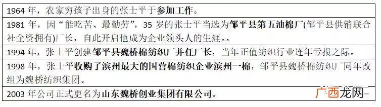 山东魏桥怎么这么牛 七桥创业图片