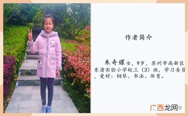 syb创业计划书养殖牛 养殖兔创业计划书范文
