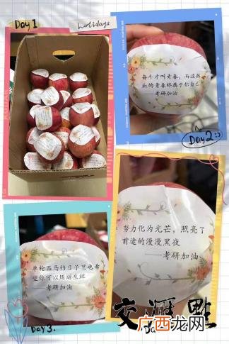 就业与创业服务局,南财创业就业网登录