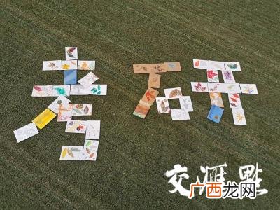 就业与创业服务局,南财创业就业网登录