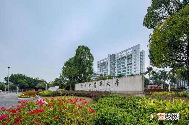 广州学历,升学历的正规机构有哪些