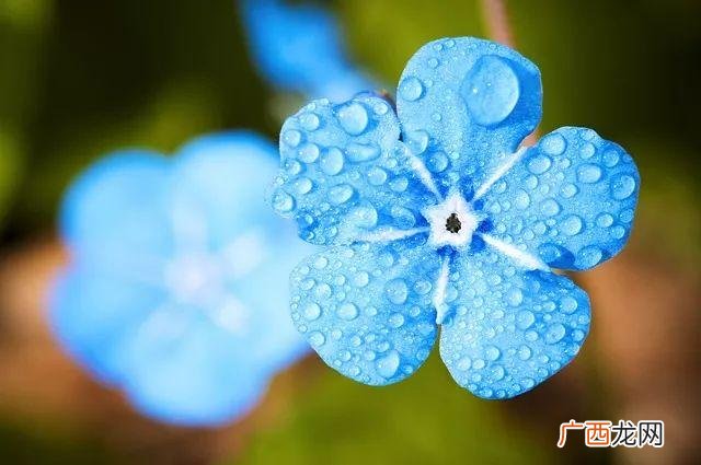 信息系统项目管理师报名资格,高级项目管理师报考条件