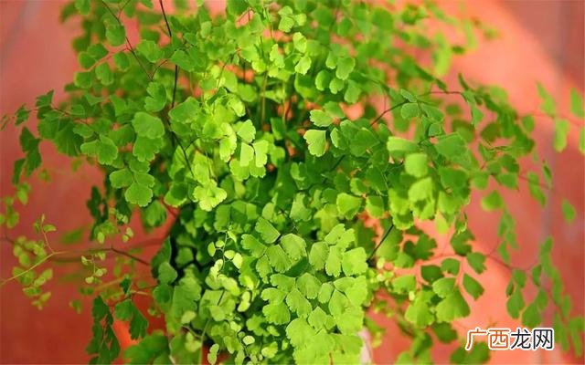 信息系统项目管理师报名资格,高级项目管理师报考条件