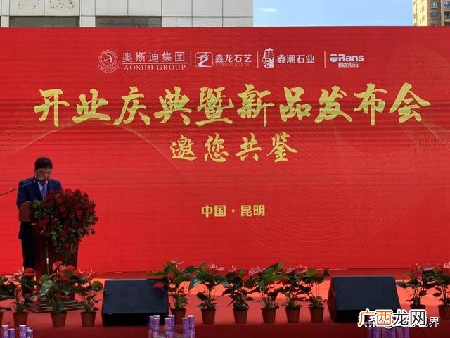 云南奥斯迪实业有限公司,云南创业邦实业有限公司工作体验