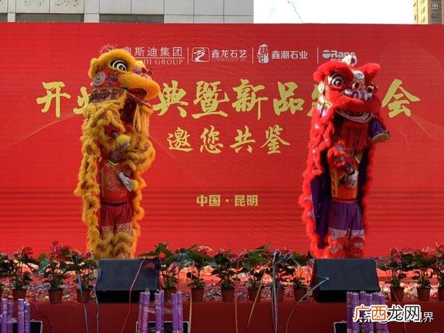 云南奥斯迪实业有限公司,云南创业邦实业有限公司工作体验