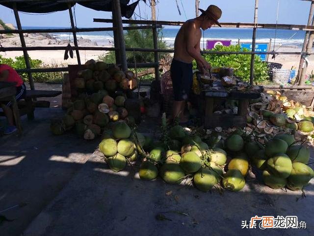 企业主要经营范围 企业创业项目的理由