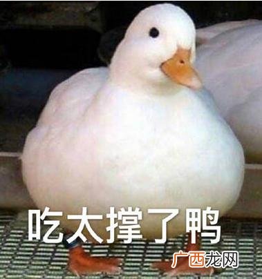 工地上的会计适合去吗 女生去工地项目部做会计
