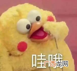 工地上的会计适合去吗 女生去工地项目部做会计