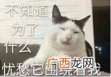 工地上的会计适合去吗 女生去工地项目部做会计
