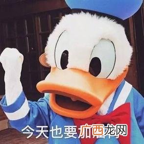 工地上的会计适合去吗 女生去工地项目部做会计