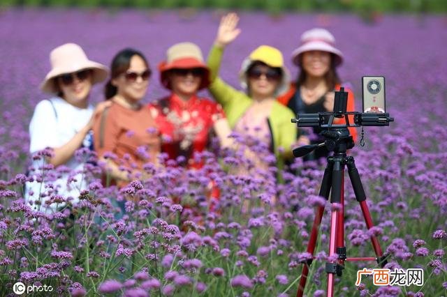 一颗小草图片 小草创业图片大全