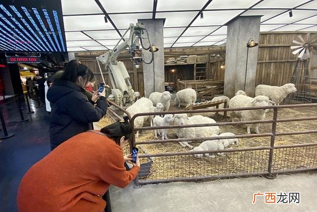 入驻商场什么最挣钱 商场赚钱项目