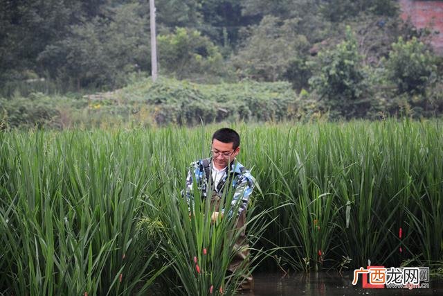 大学生回乡创业项目养殖业,返乡创业养殖实例