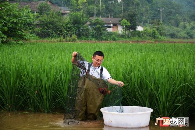 大学生回乡创业项目养殖业,返乡创业养殖实例