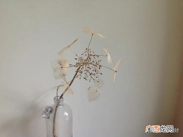 做投资的男人很忙吗,男朋友创业很忙