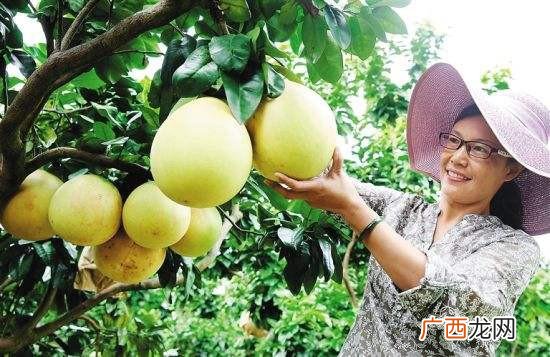工程管理专业创业案例 工程类创业