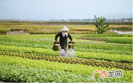 工程管理专业创业案例 工程类创业